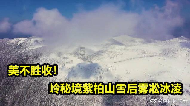小猫钓鱼开船版最新版下载